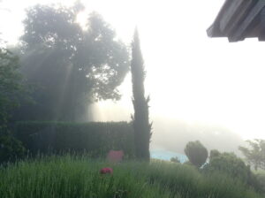 Sunlight filtering through the trees at Bellaugello Gay Country House in Umbria, Italy. #Bellaugello